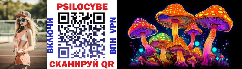 Купить закладки  Алексин  Псилоцибиновые грибы Magic Shrooms 